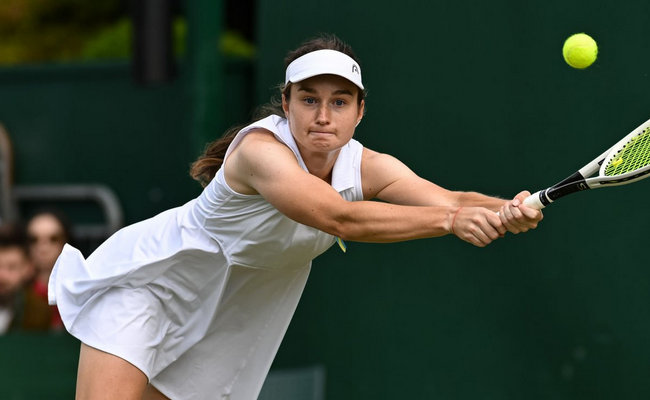 Снігур не зіграє в основній сітці турніру Вімблдону-2025