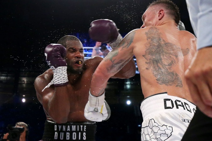 Клімас: Якщо Усик переможе, було б добре провести реванш із Дюбуа
