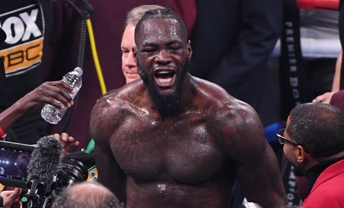 Усик висловився про майбутнє Вайлдера: Можливо він проведе ще один бій