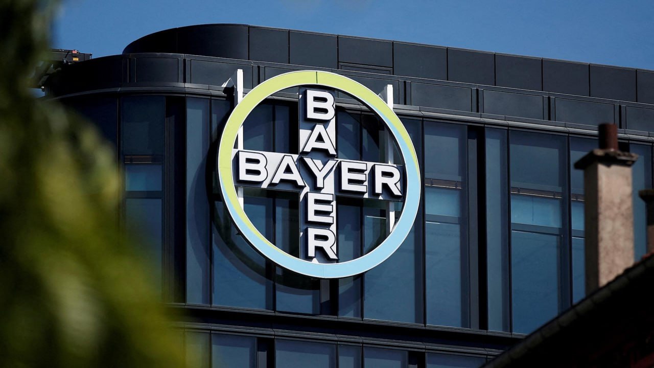 «Динамо» та «Bayer» - партнери