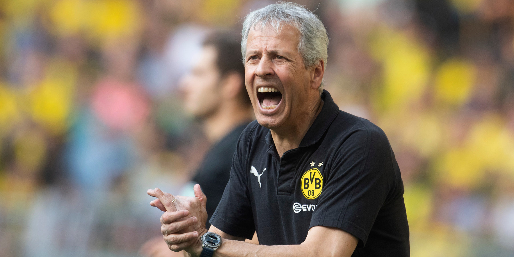 Не дали шансу: Фавра звільнили з «Боруссії» після поразки від «Штутгарту»